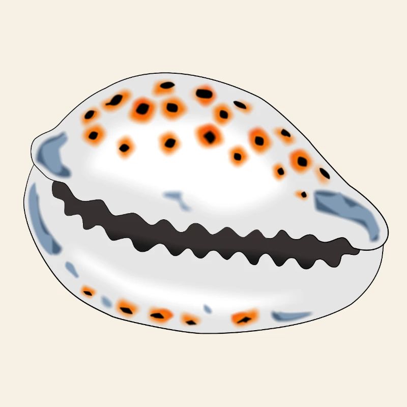 Shell with dots