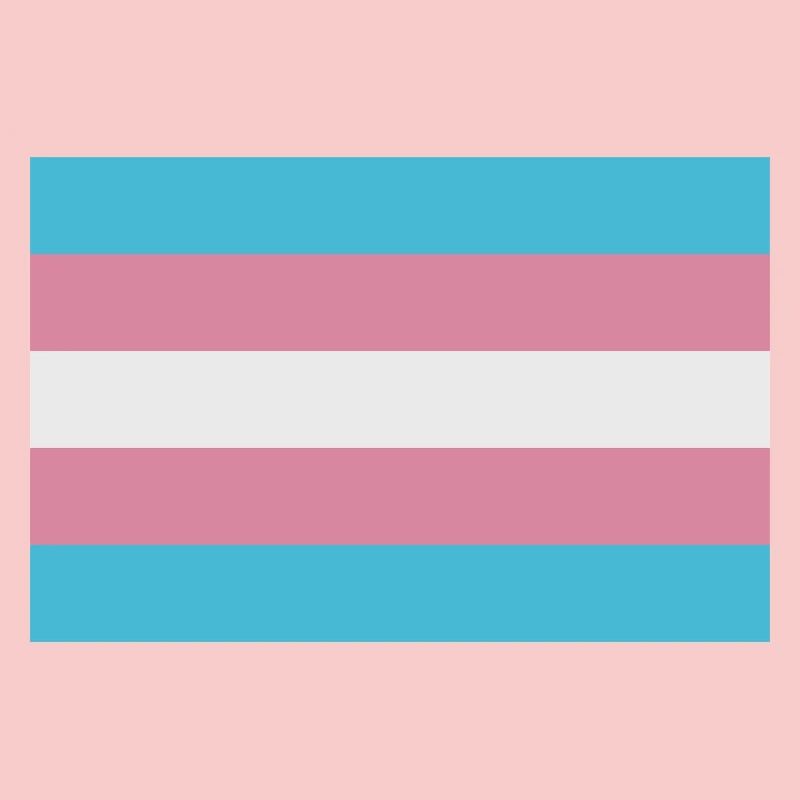 Drapeau trans