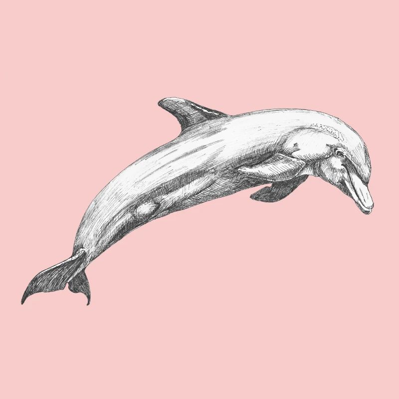 Delfin Dolphin