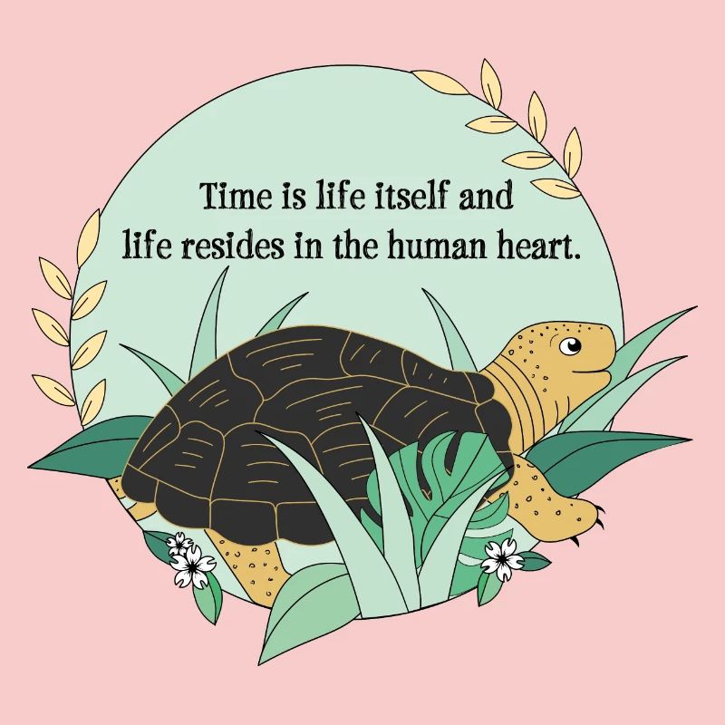 Turtle Cassiopeia