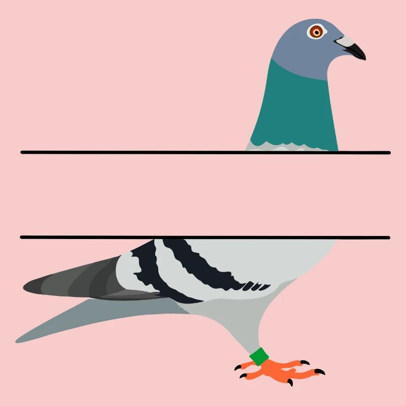 Pigeon with blank text bar between them to create your own name