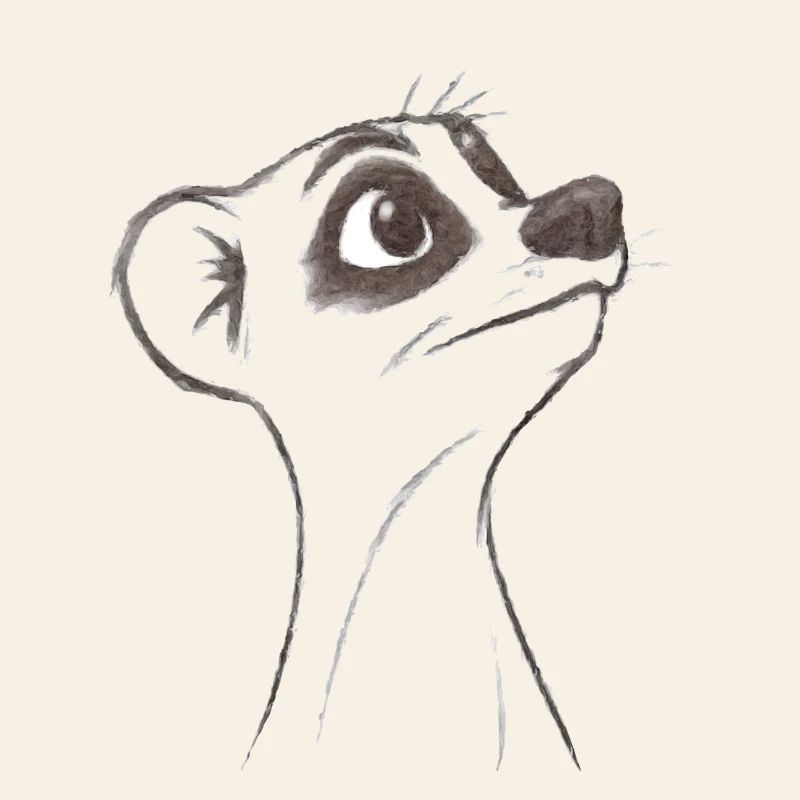 fragendes Erdmännchen
