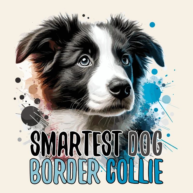 Border Collie chiot le plus intelligent chien cadeau