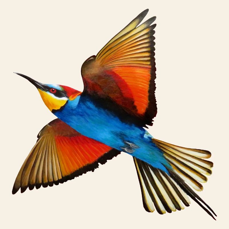 Guêpier Oiseau
