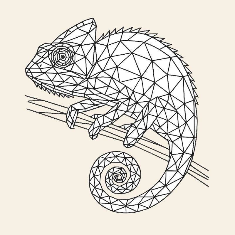 Fil de fer caméléon géométrique