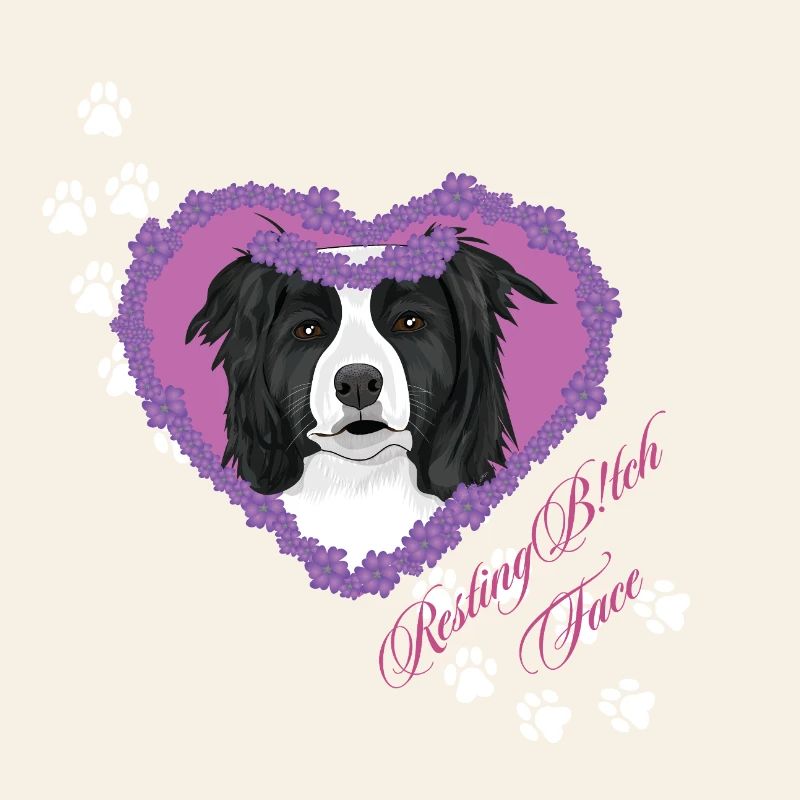 Resting B!tch Face Border Collie