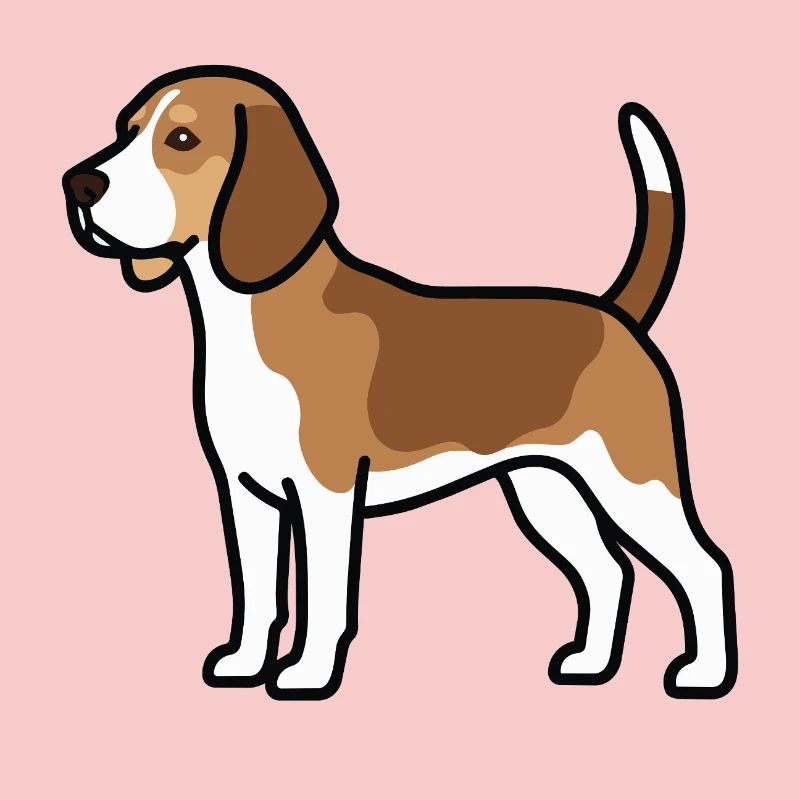 Le chien beagle