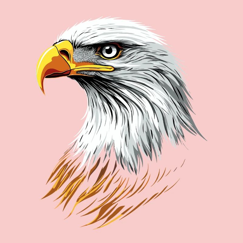 Aigle Pygargue à tête blanche Aigle royal Pygargue à queue blanche