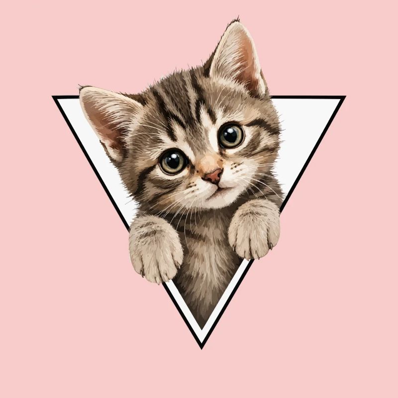 Chaton dans le triangle