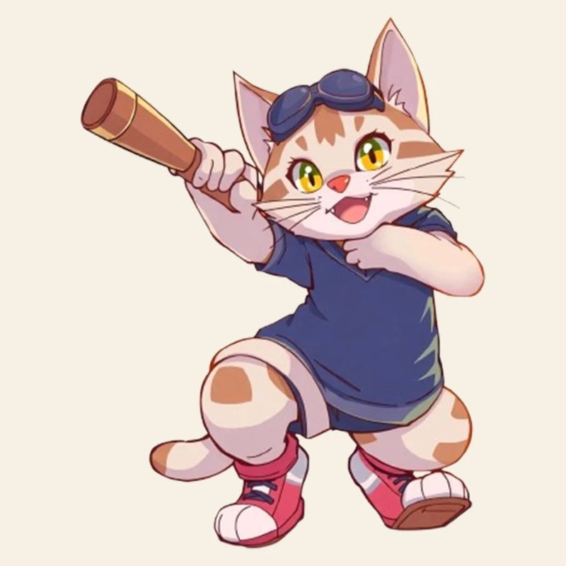 Chat, Chats