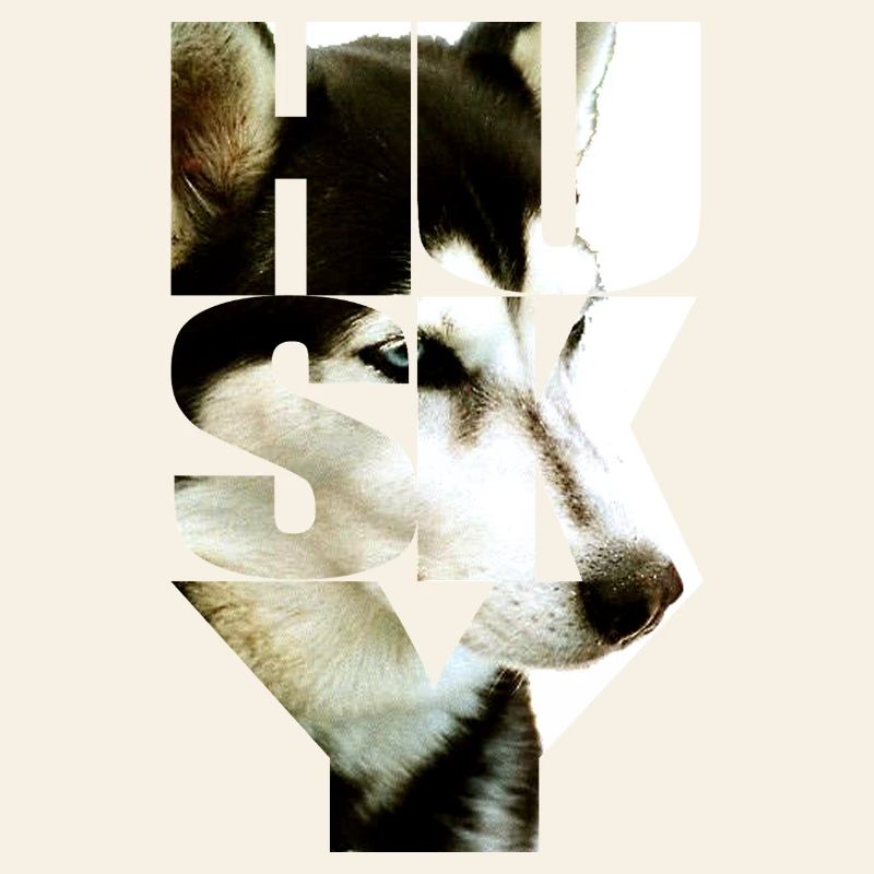 Graphique Husky avec typographie
