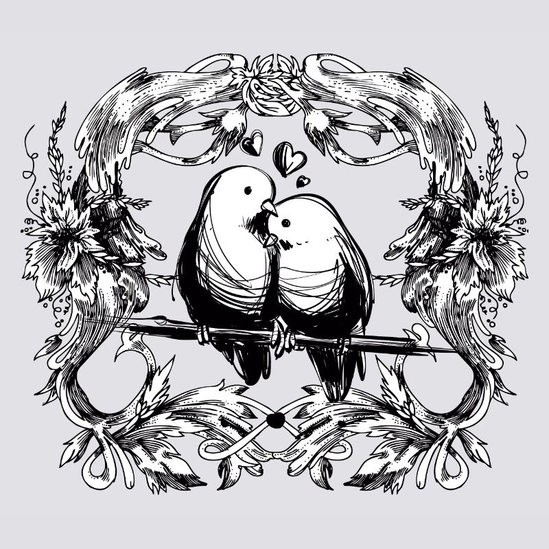 Inséparables / amour / relation / oiseaux / oiseau