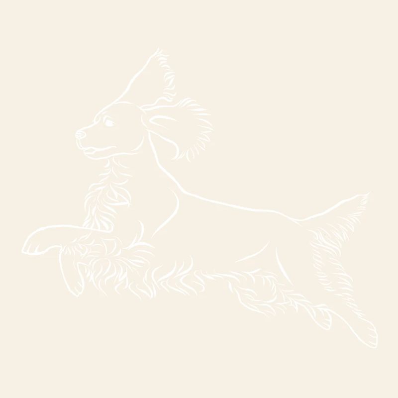 Springer Spaniel