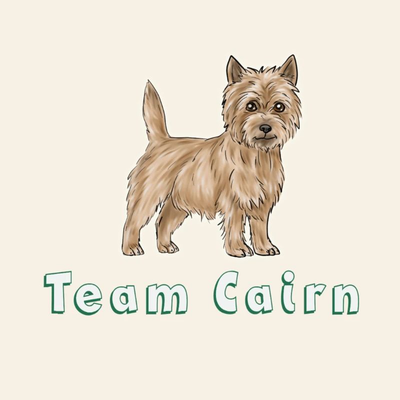 Team Cairn
