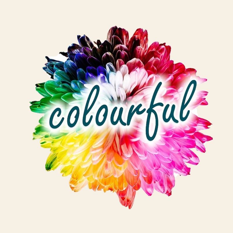 Rainbow Flower Color Explosion