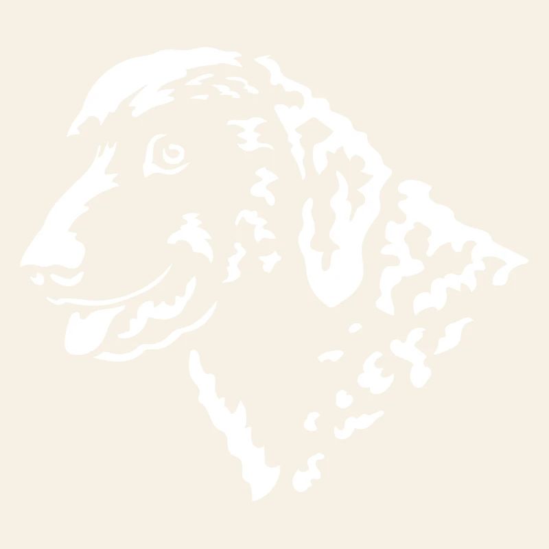 Curly-Coated Retriever Kopf "Black Edition"