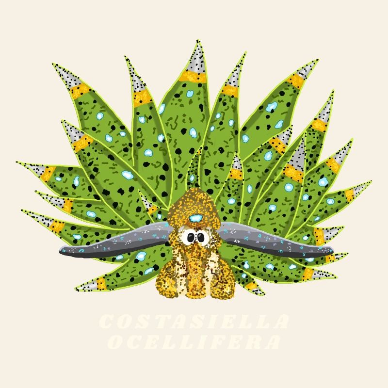 Escargot De Mer Mignon, Feuille De Mouton, Dessin