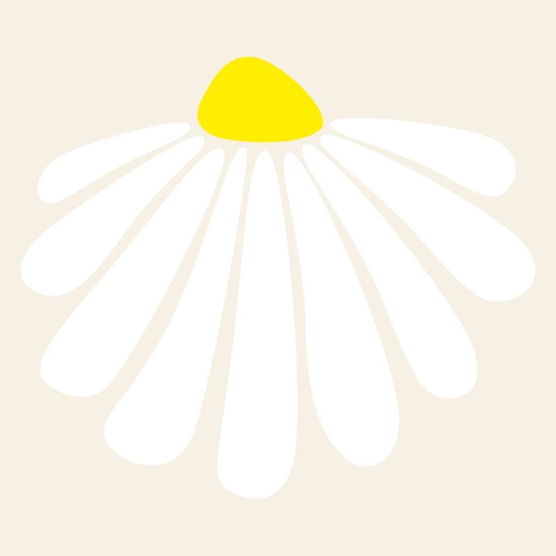 Blume Energie Margarithe Blüte Sommer Natur