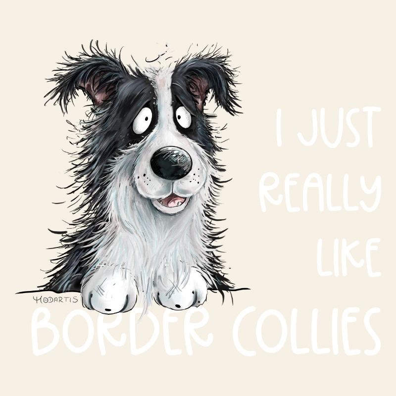 Droll border collie chien dicton