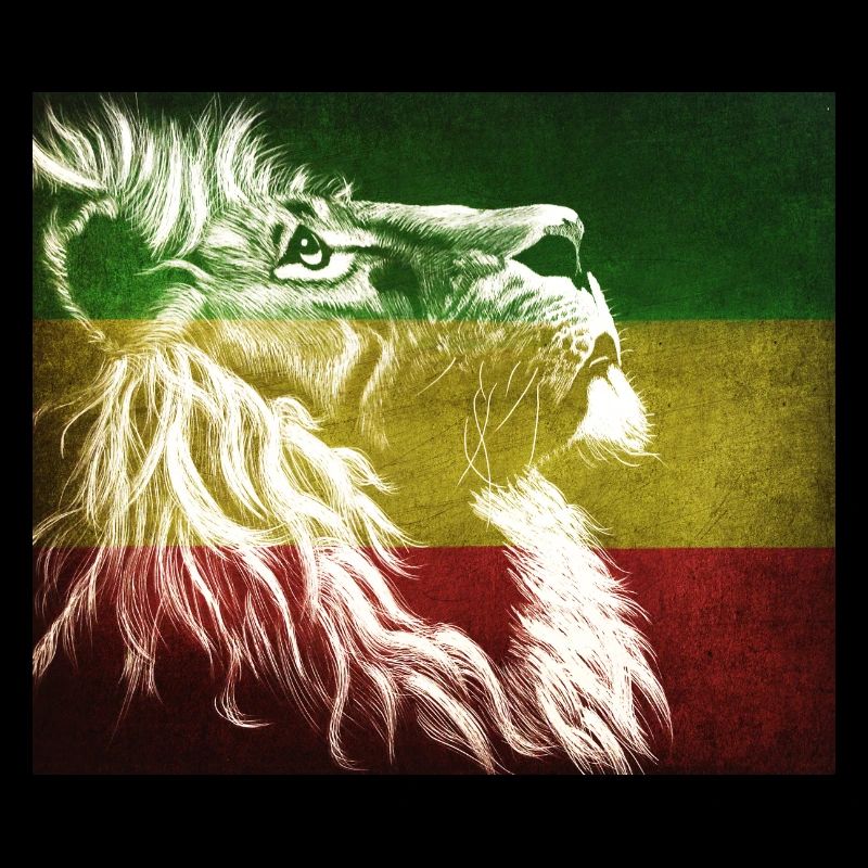 Reggae Lion Flag Art