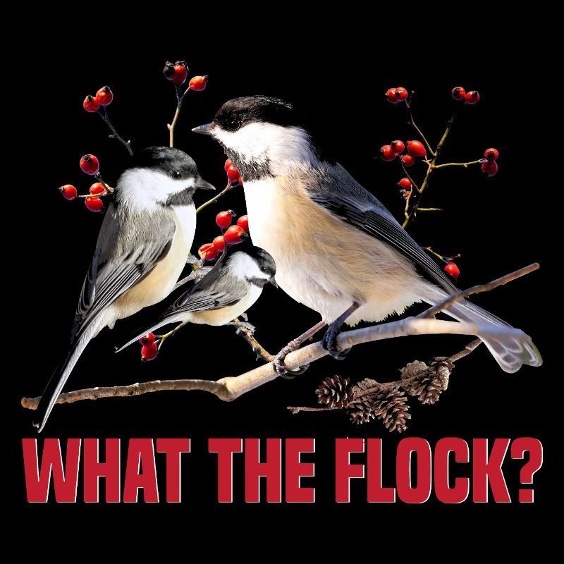  Chickadee Feeder Bird House Birdwatching Birder