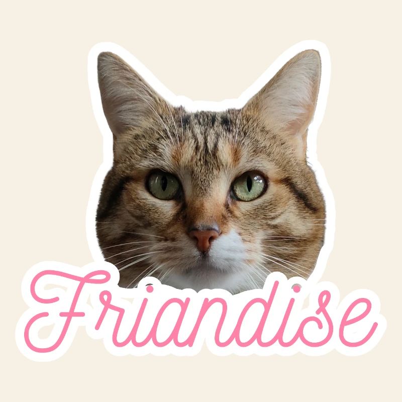 Missty friandise