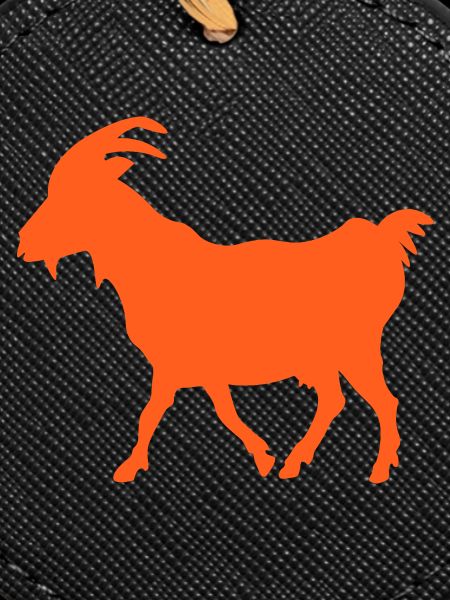 Ziege orange GOAT