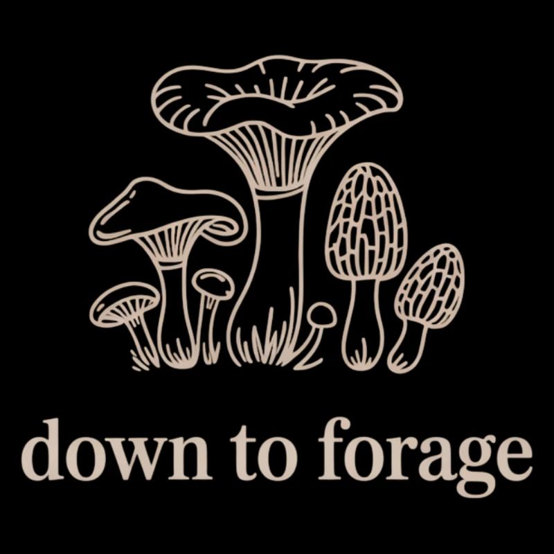 Prêt pour la cueillette de champignons : Cueillir des champignons cèpes