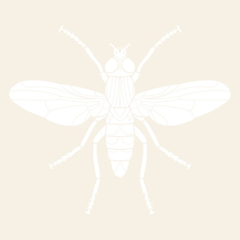 Housefly