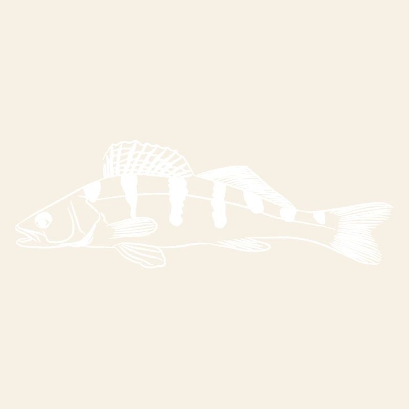 Zander Graphic – Angler Line-Art Design