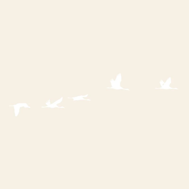 Oiseaux migrateurs blanc grue