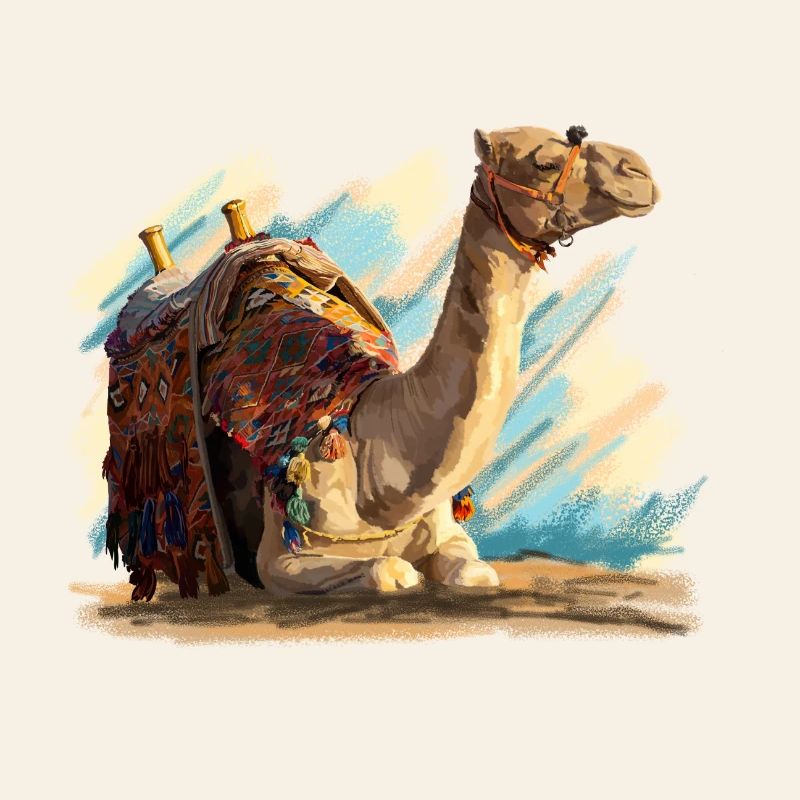 Camel