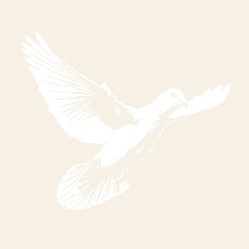 Wunderschöne weisse Taube