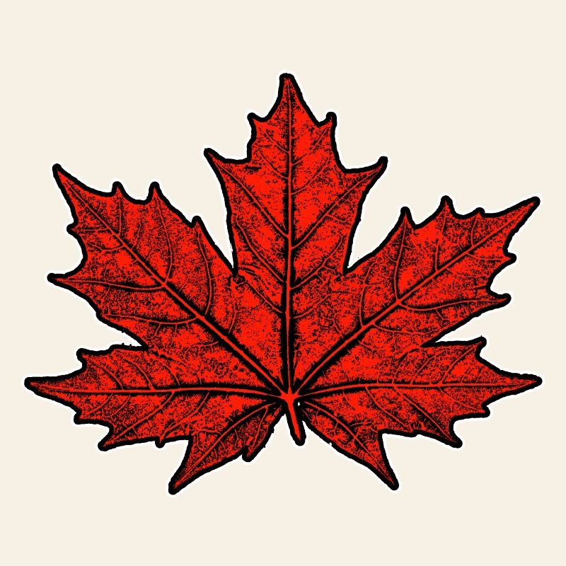Érable / Feuille