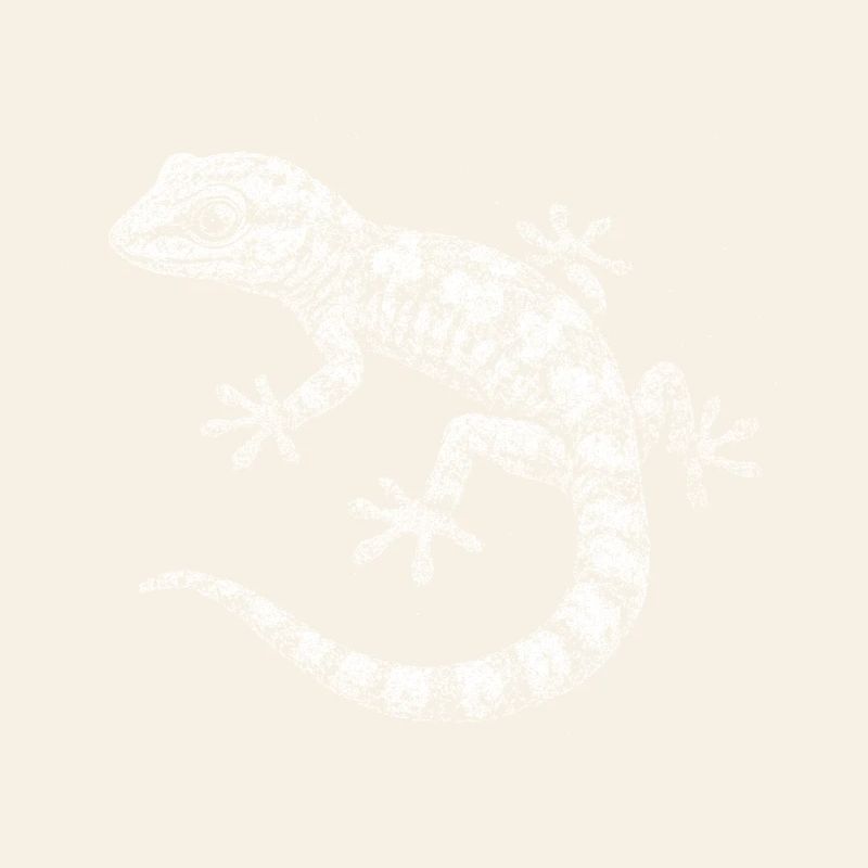 A gecko