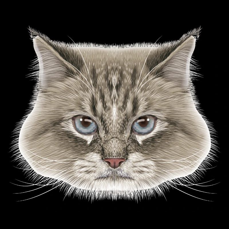 Siberian Cat