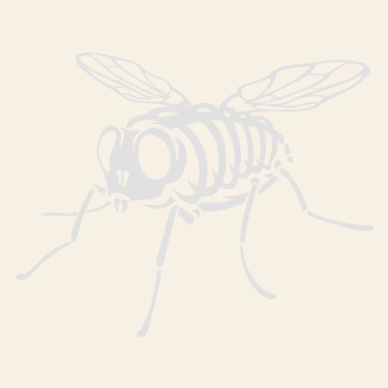 Skeleton Fly