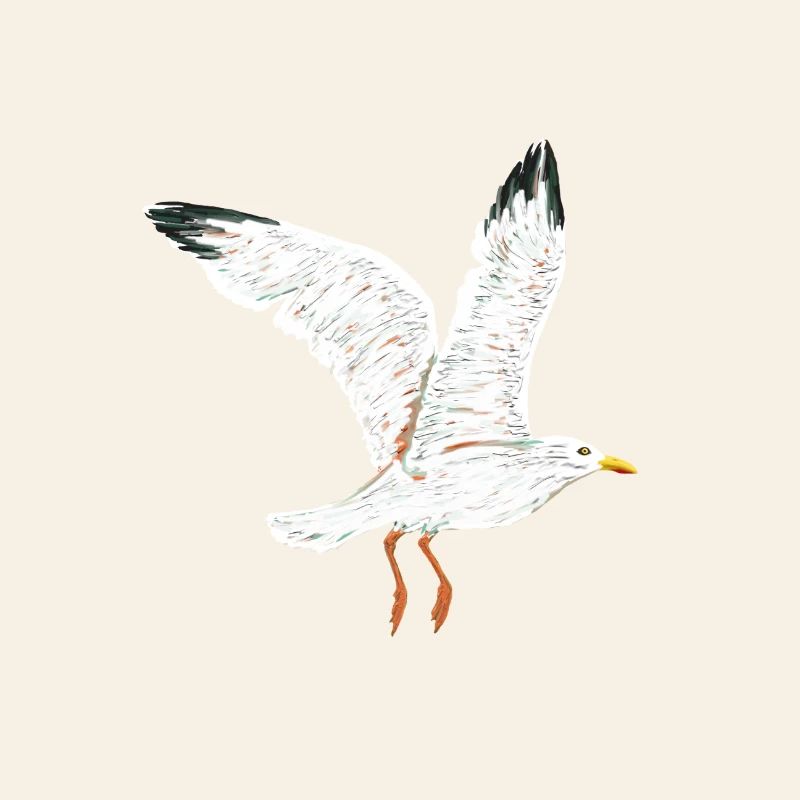 fliegende moewe vogel