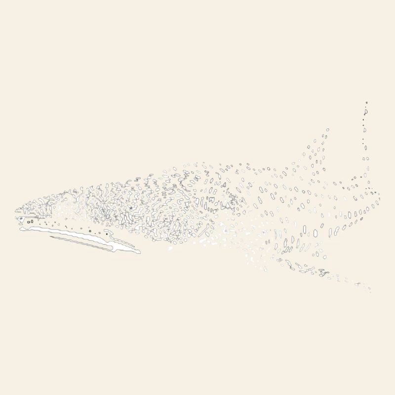 Requin-baleine