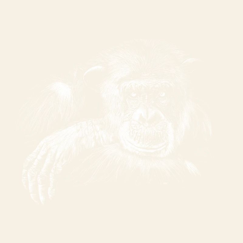 monkey