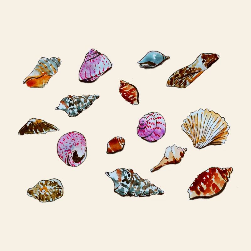 Colourful Seashells Marine Pattern