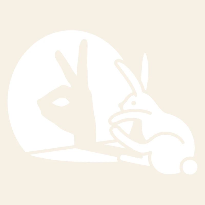 Funny Rabbit Hand Shadow Projection Rabbit