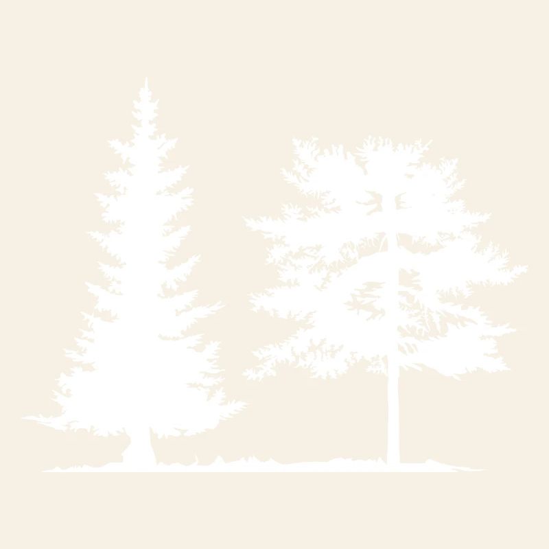 Tree, Spruce, Forest, Camping, Nature, Mixed Forest, Pine