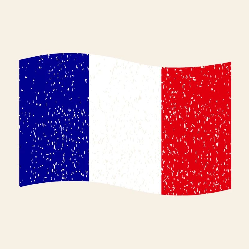 drapeau français vintage