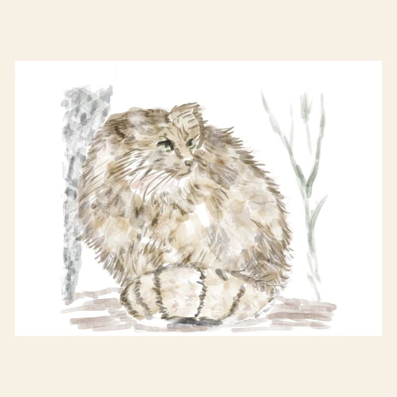 Chat sauvage de Manul