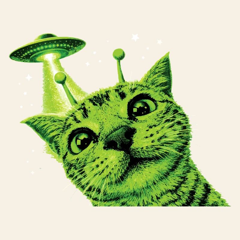 OVNI Alien Cat