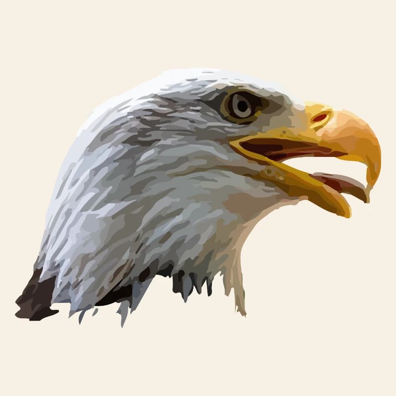 Aigle à tête blanche