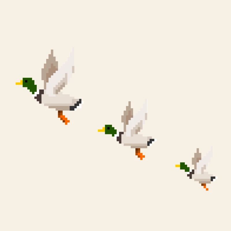 Flying Ducks