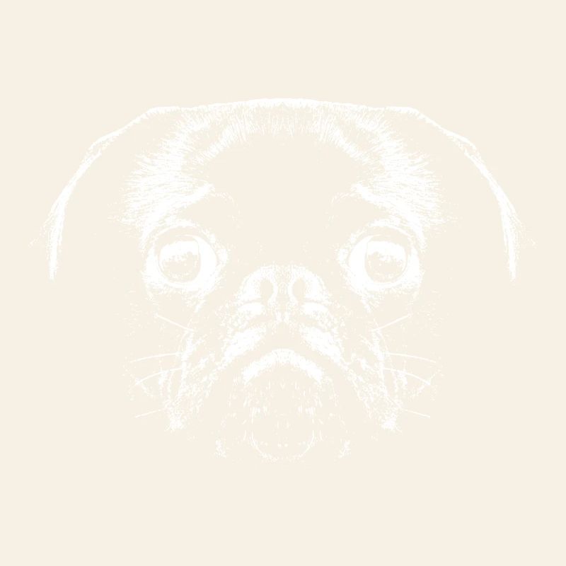 Mops / Gesicht / Kopf