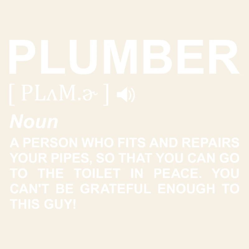 Plumber Definition